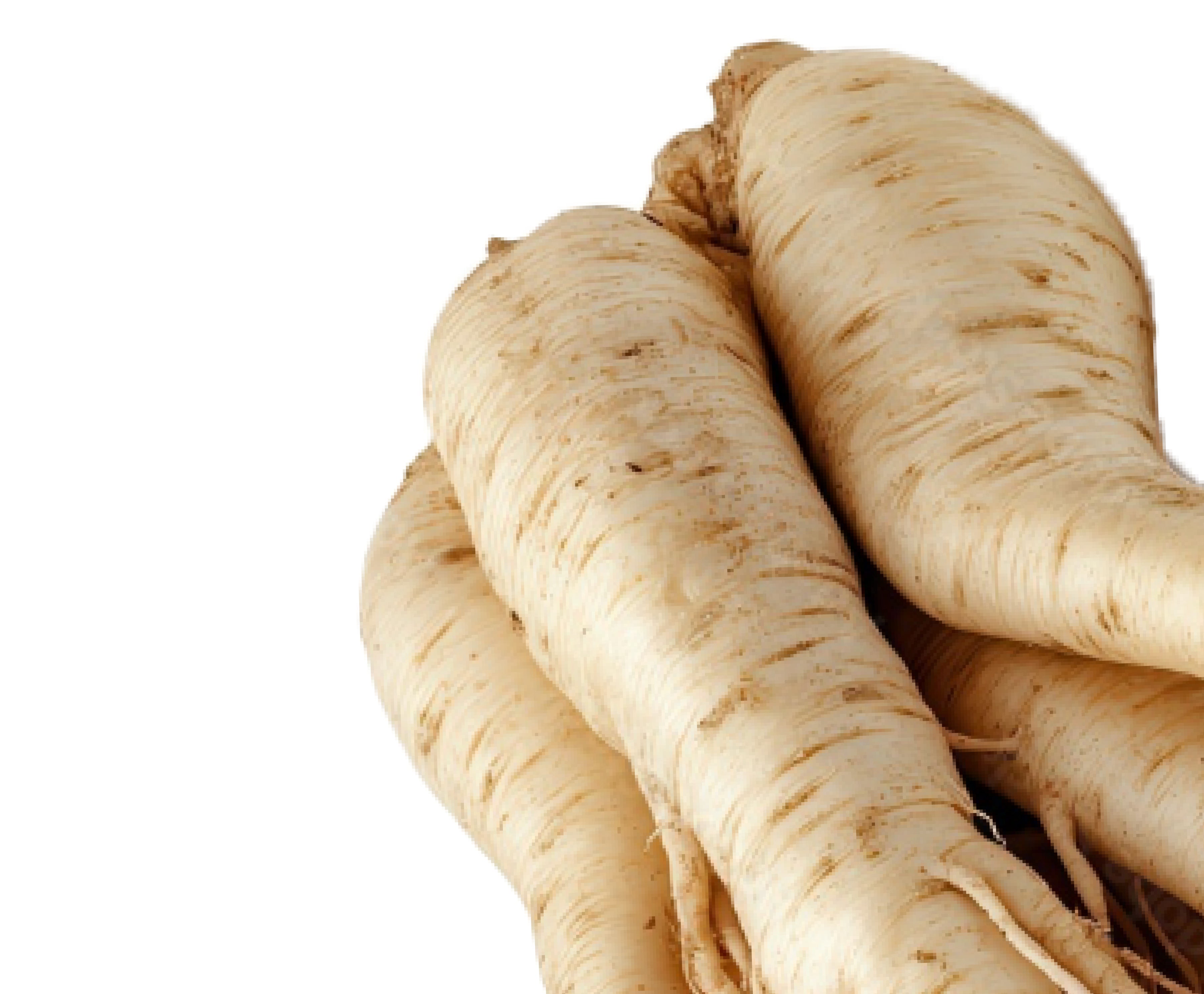 Ginseng Extract